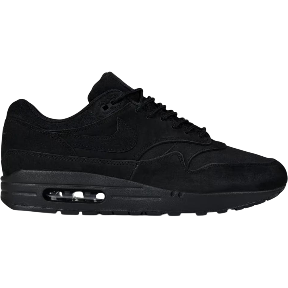 Nike Air Max 1 Black Cat