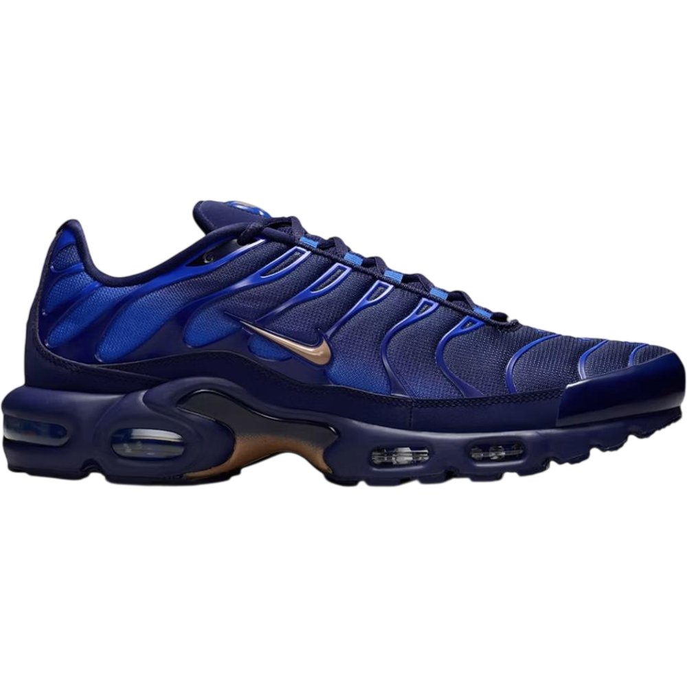 Nike Air Max Plus French Football Federation