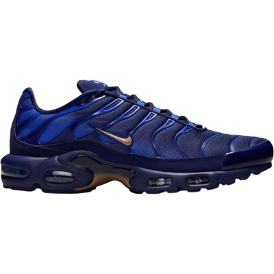 Nike Air Max Plus French Football Federation